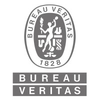 bureau_veritas_chile_logo bureau_veritas_chile_logo